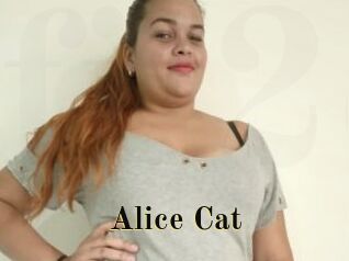 Alice_Cat