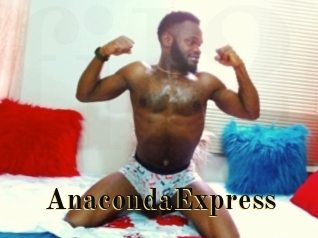 AnacondaExpress