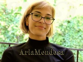 AriaMendosa