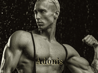 Adonis_