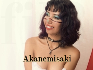 Akanemisaki