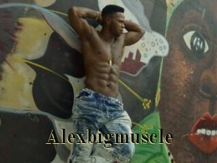 Alexbigmuscle