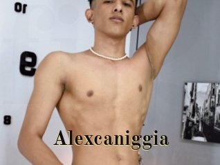 Alexcaniggia