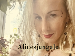 Alicesjungalo