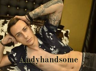 Andyhandsome