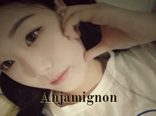 Anjamignon