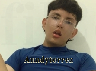 Anndytorrez