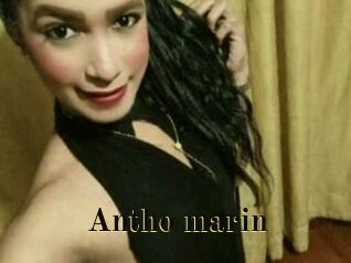 Antho_marin