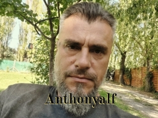 Anthonyalf