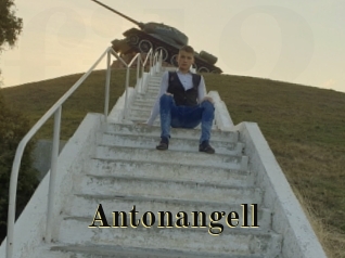 Antonangell