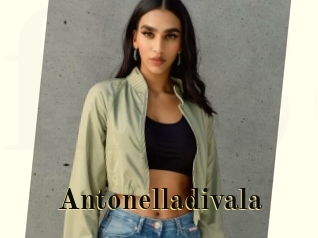 Antonelladivala