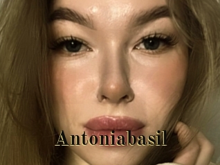 Antoniabasil