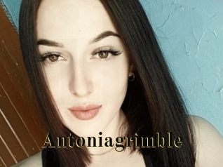 Antoniagrimble