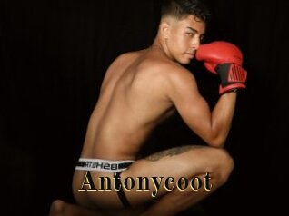 Antonycoot