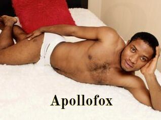 Apollofox