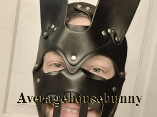 Averagehousebunny