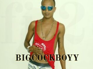 BIGCOCKBOYY