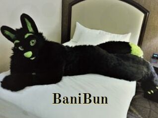 BaniBun