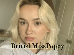 BritishMissPoppy