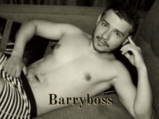 Barryboss