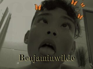 Benjaminwilde