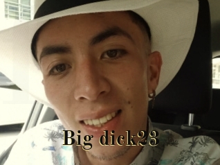 Big_dick23