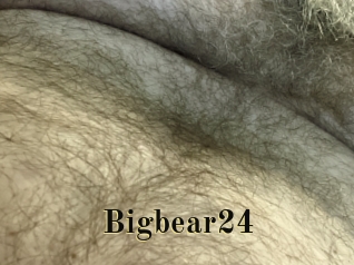 Bigbear24