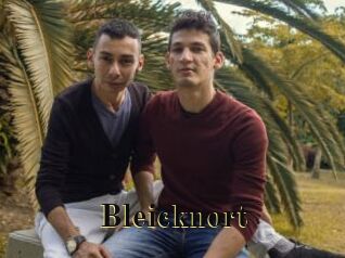 Bleicknort