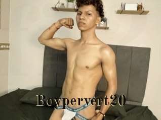 Boypervert20