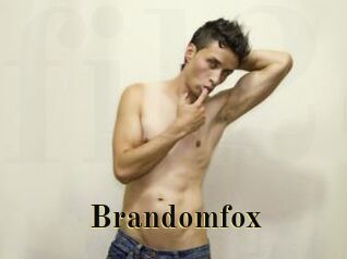 Brandomfox