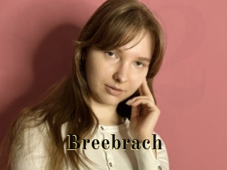 Breebrach