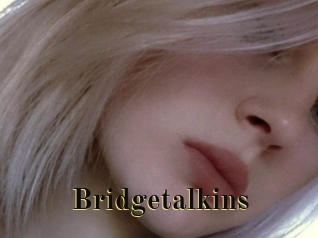 Bridgetalkins