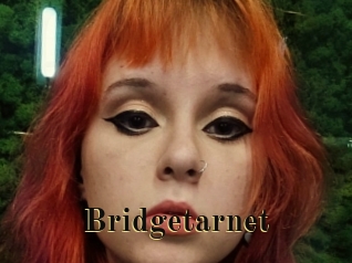 Bridgetarnet