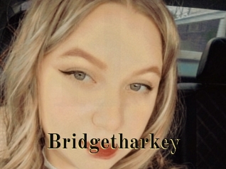 Bridgetharkey