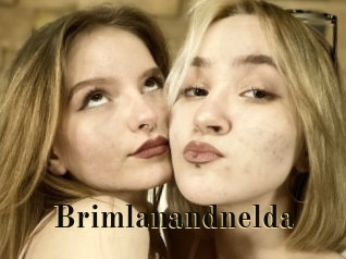 Brimlanandnelda