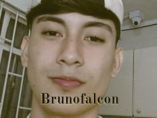 Brunofalcon