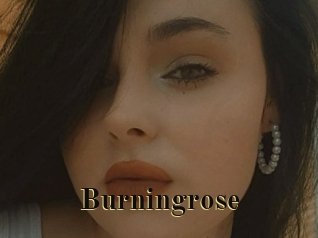 Burningrose