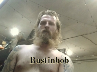 Bustinbob