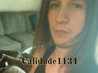 Calidude1134