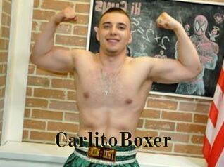 CarlitoBoxer