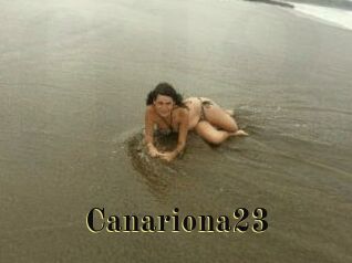 Canariona23