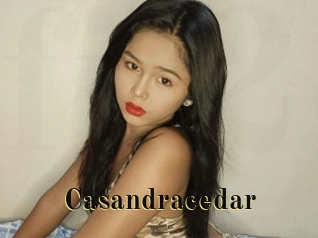 Casandracedar