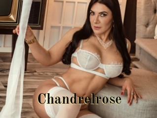 Chandrelrose