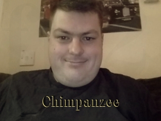 Chimpanzee