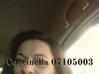 Coccinella-07105003