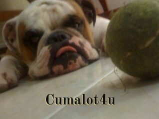 Cumalot4u