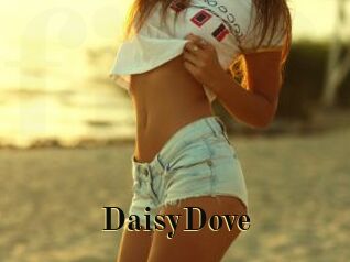 DaisyDove