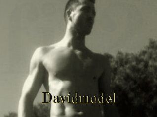 Davidmodel