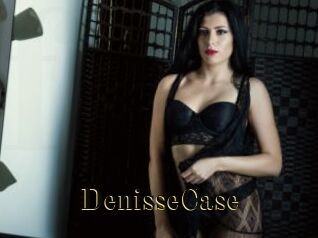 DenisseCase