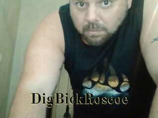 DigBickRoscoe